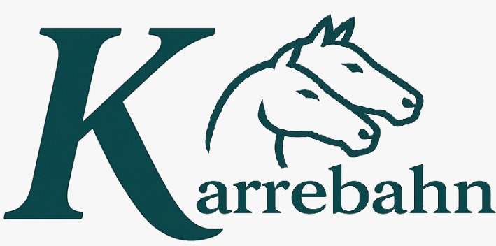 Logo Nova Sem Fundo.jpeg